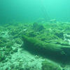 Picture taken during the dive