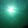 Picture taken during the dive