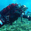 Picture taken during the dive