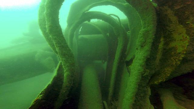 Diving in Royaume-Uni, South West - By Dave
