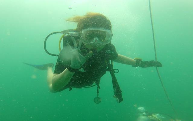 Dive South East Asia - Dive Center in United States