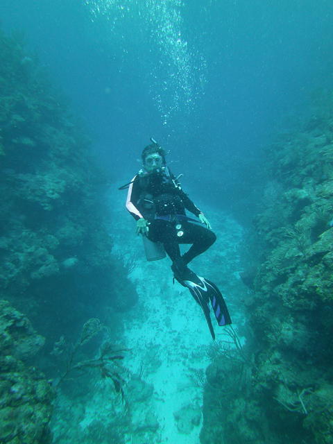 Hugh Parkey's Belize Adventures - Dive Center in Belize