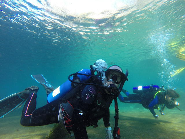 Carolina Dive Center - Dive Center in United States