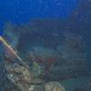 Picture taken during the dive