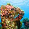 Picture taken during the dive