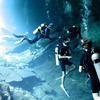 Picture taken during the dive
