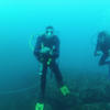 Picture taken during the dive