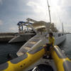 Picture taken during the dive