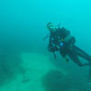Picture taken during the dive