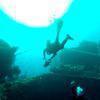 Picture taken during the dive