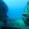 Picture taken during the dive
