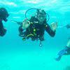 Picture taken during the dive