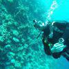 Picture taken during the dive