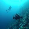Picture taken during the dive