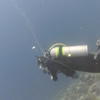 Picture taken during the dive