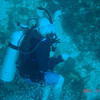 Picture taken during the dive