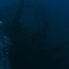 Picture taken during the dive