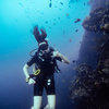 Picture taken during the dive