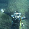 Picture taken during the dive