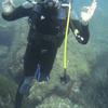 Picture taken during the dive