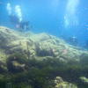 Picture taken during the dive