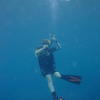 Picture taken during the dive