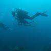 Picture taken during the dive