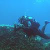 Picture taken during the dive