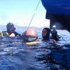 Picture taken during the dive