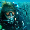 Picture taken during the dive