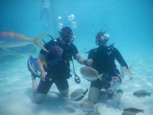 Coki Beach Dive Club - Dive Center