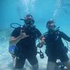 Picture taken during the dive