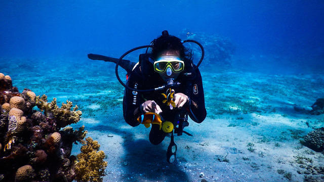 Deep Blue Divers - Dive Center in Egypt