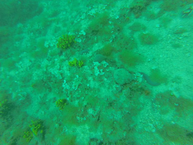 Diving Center Porec - Dive Center in Croatia