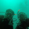 Picture taken during the dive