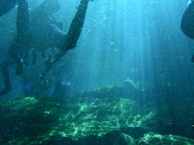 Blue Caribe Diving - Dive Center in Mexico