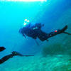 Picture taken during the dive