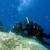 Picture taken during the dive
