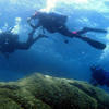 Picture taken during the dive