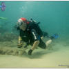 Picture taken during the dive