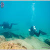 Picture taken during the dive