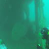 Picture taken during the dive
