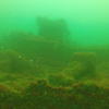 Picture taken during the dive