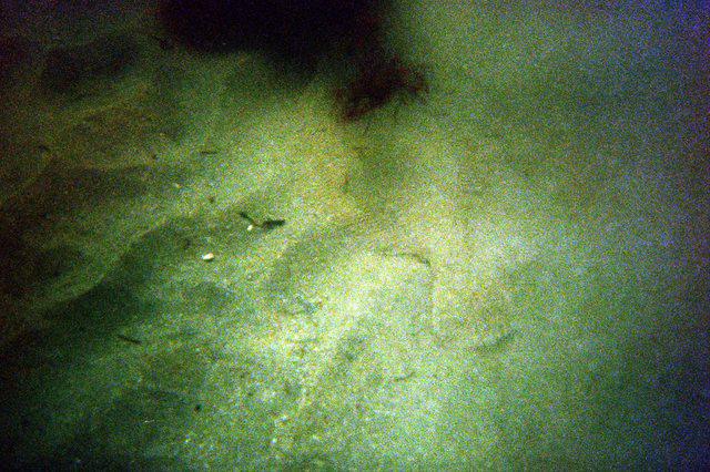 Diving in United States, Massachusetts - By Jean