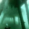 Picture taken during the dive