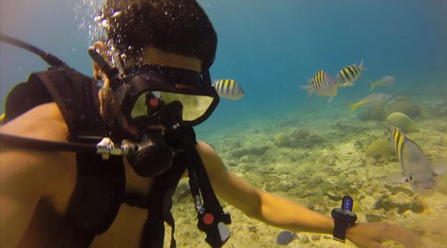 Aqua Center - Dive Center in Dominican Republic