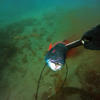Picture taken during the dive