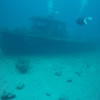Picture taken during the dive
