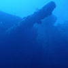 Picture taken during the dive
