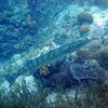 Picture taken during the dive